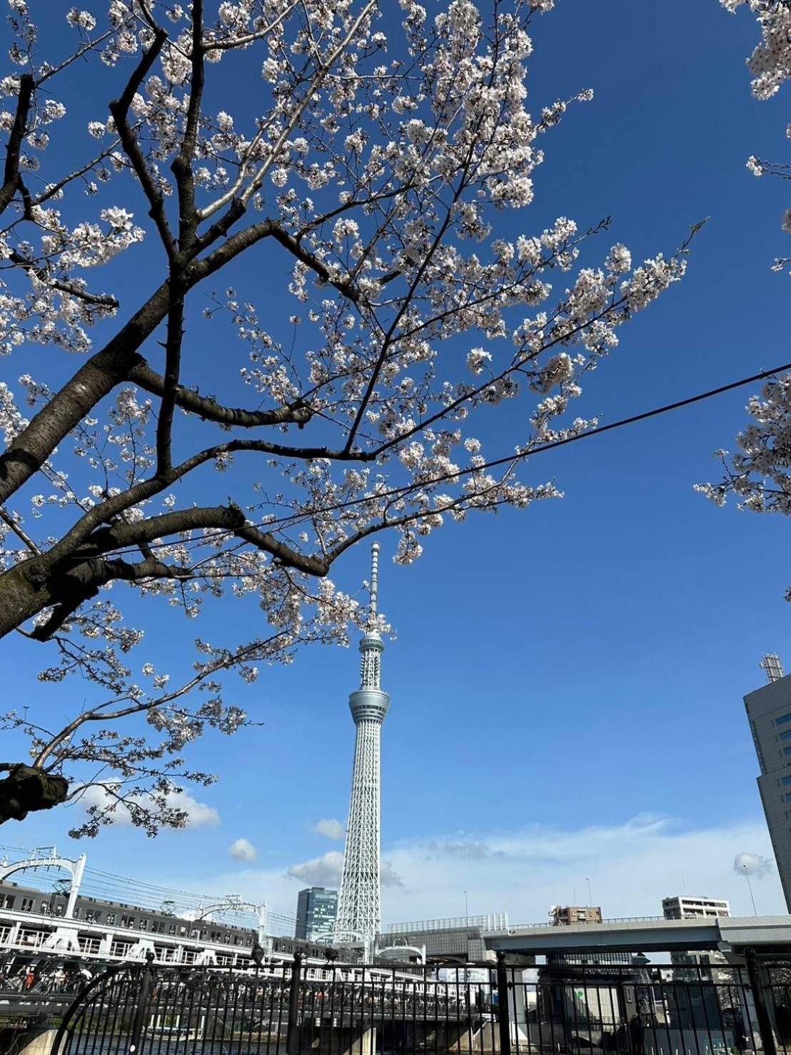 東京雷門ー千の森asakusa 東京都 外观 照片