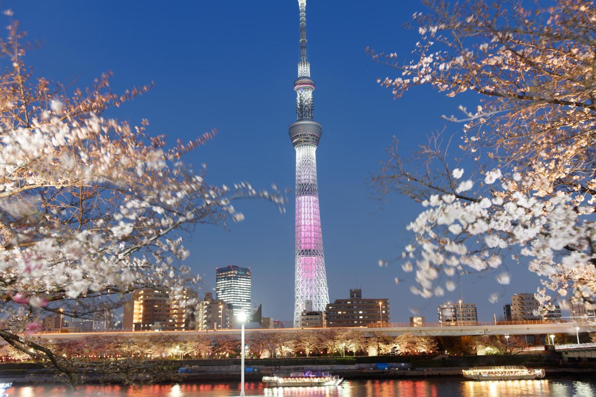 東京雷門ー千の森asakusa 東京都 外观 照片